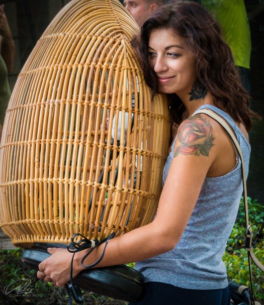 lamp3 cage220150716_1540