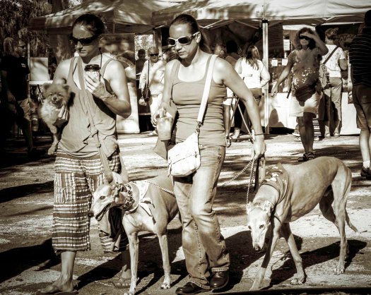 3 dogs b.w.20151226_6936-1-Edit-1