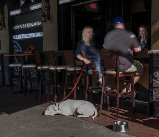 irish pup20160506_0002-1